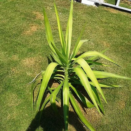 Lighthouse Nadia Aparts Fethiye
